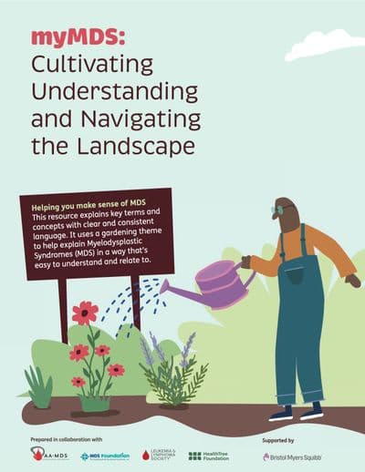 myMDS: Cultivating Understanding and Navigating the Landscape